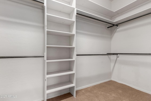 14657 N 103rd Way, Scottsdale, AZ 85255 - spacious closet featuring carpet flooring