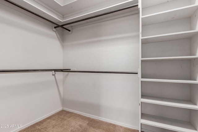 14657 N 103rd Way, Scottsdale, AZ 85255 - spacious closet with carpet flooring