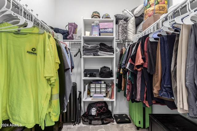 walk in closet with carpet flooring