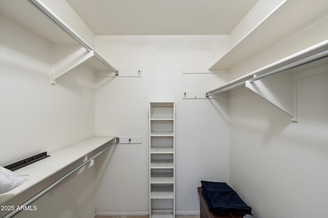 520 S Greenfield Rd Unit 7, Mesa, AZ 85206 - view of spacious closet