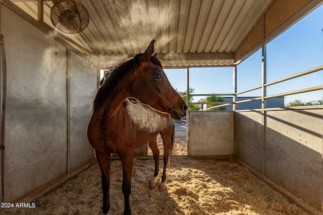 view of horse barn