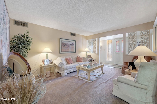 living room featuring a textured ceiling and carpet flooring