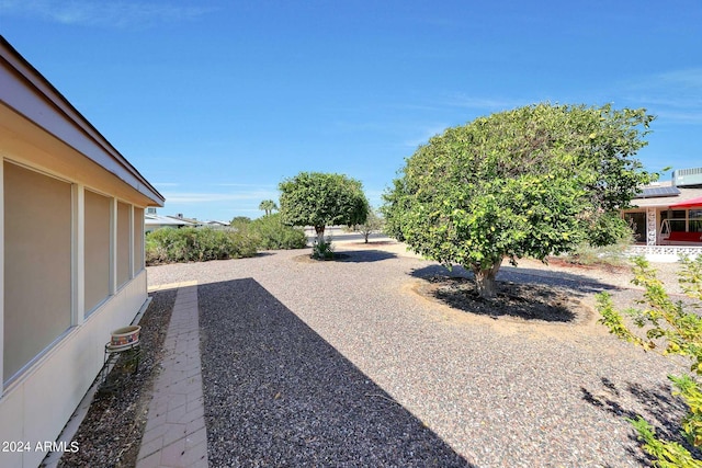 view of yard featuring a patio area