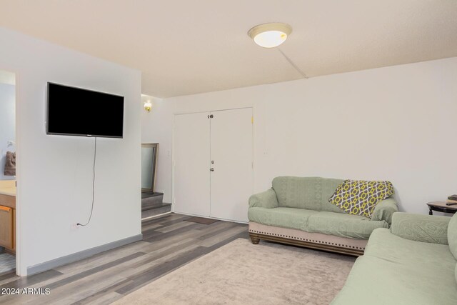 living room featuring wood-type flooring