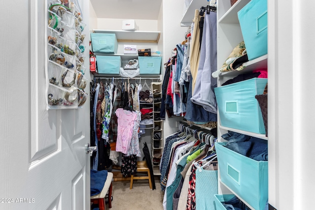 spacious closet with carpet floors