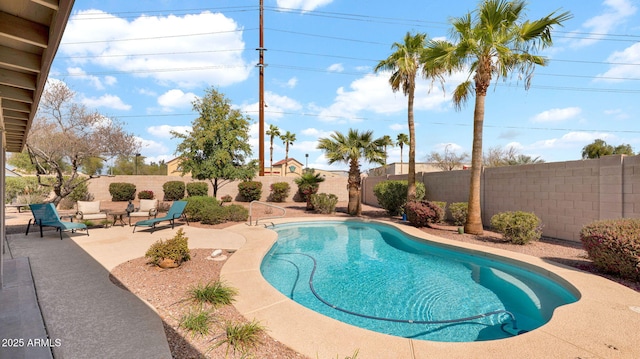 view of pool with a fenced in pool, a fenced backyard, and a patio area