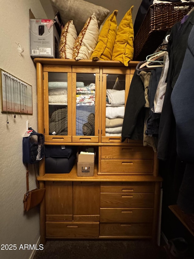 walk in closet with carpet floors