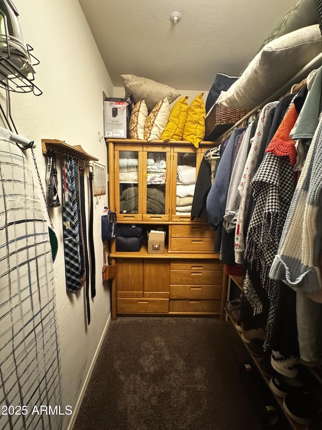 spacious closet with dark carpet