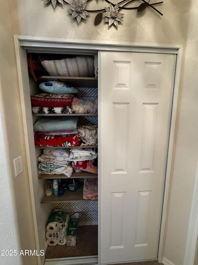 view of closet