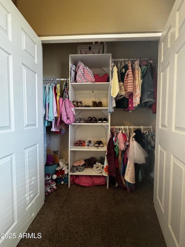 view of closet
