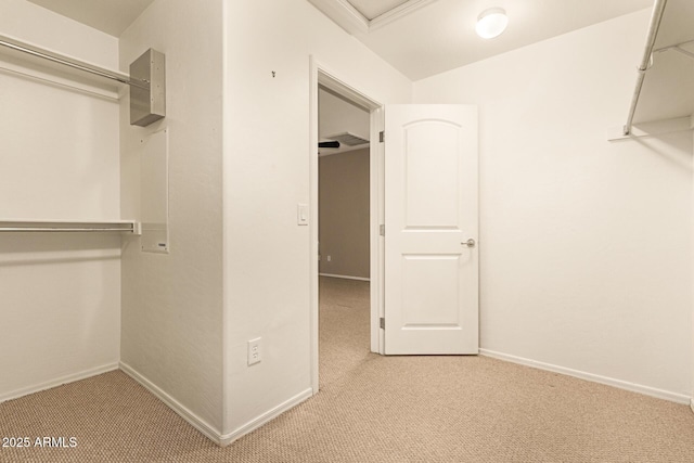 walk in closet featuring light colored carpet