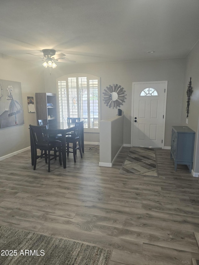 entrance foyer with baseboards and wood finished floors