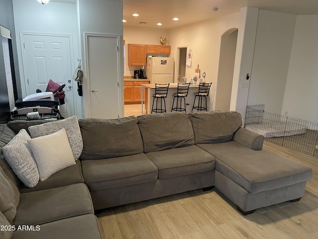 living room with light wood-type flooring