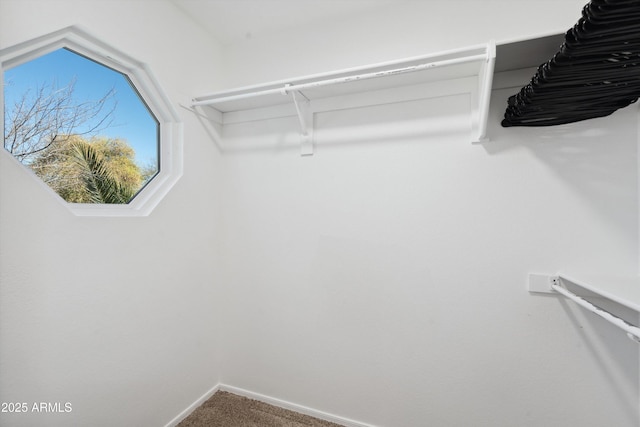 walk in closet featuring carpet flooring