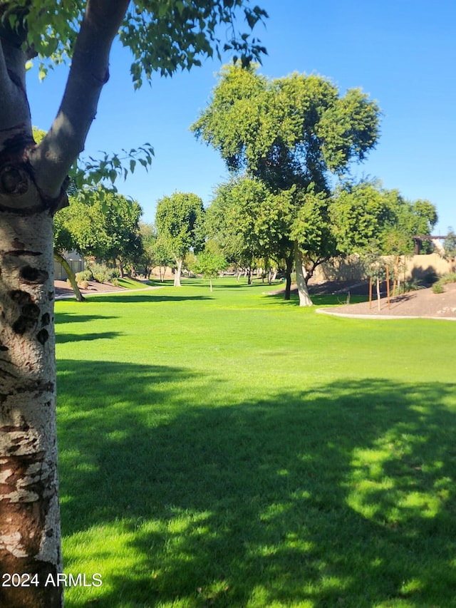 view of community featuring a yard