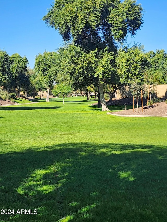 surrounding community featuring a yard