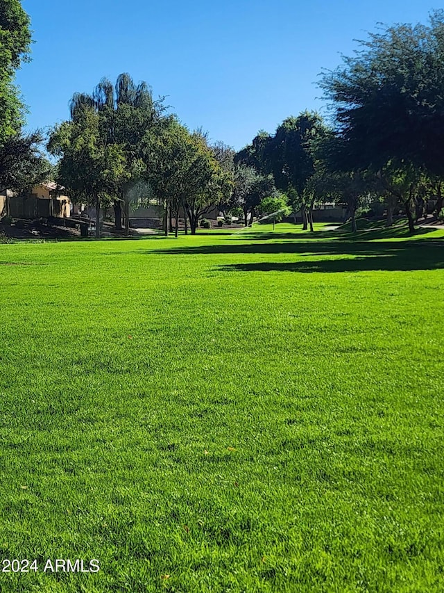 view of property's community featuring a lawn