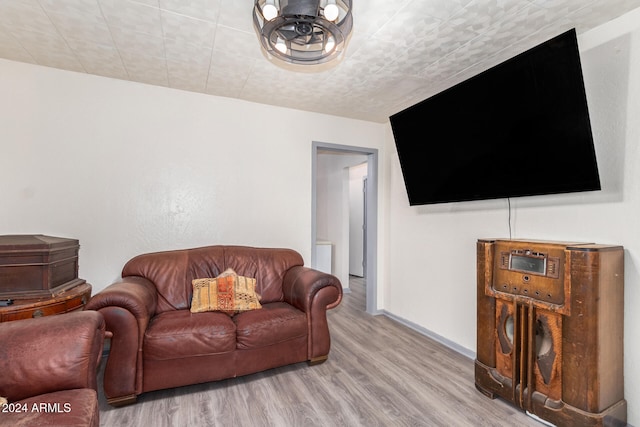 living room featuring light hardwood / wood-style floors