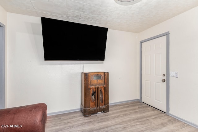 living room featuring light wood-type flooring