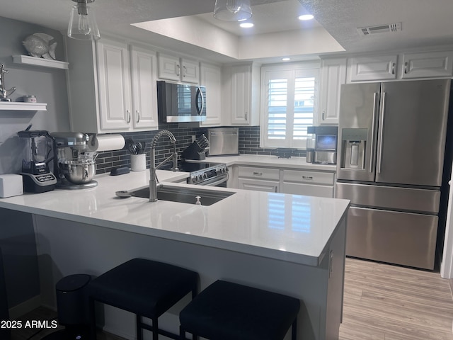 kitchen with white cabinetry, kitchen peninsula, a tray ceiling, and stainless steel appliances