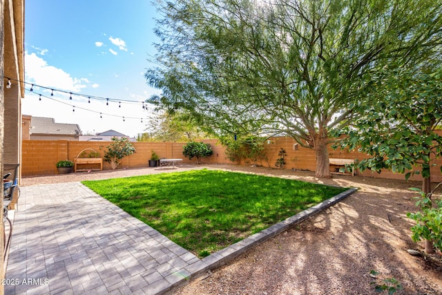 view of yard featuring a patio area and a fenced backyard