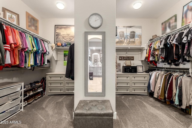 spacious closet with carpet floors