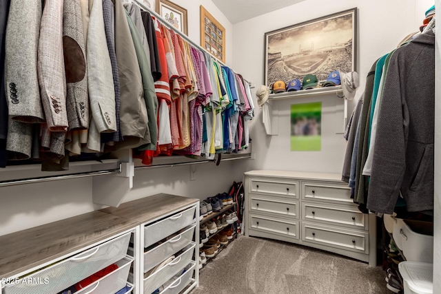 walk in closet featuring carpet flooring