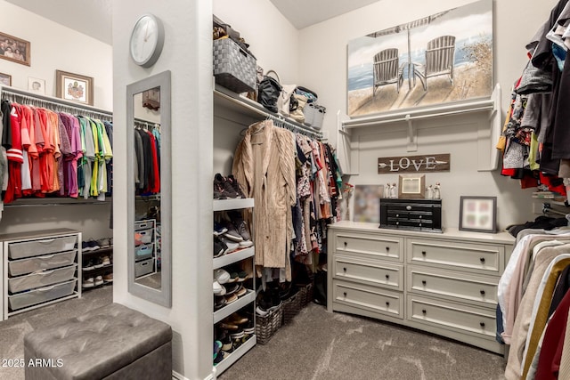 spacious closet featuring carpet floors