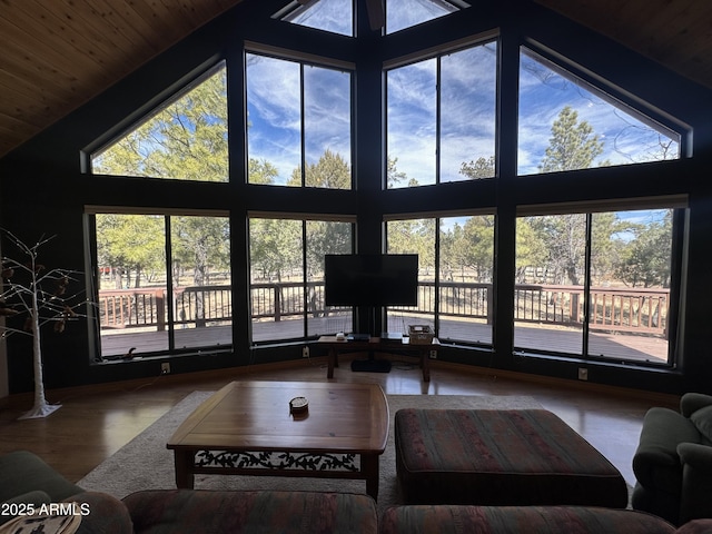 living area featuring lofted ceiling, wood finished floors, and a wealth of natural light