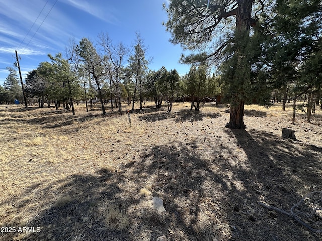 view of local wilderness featuring a rural view