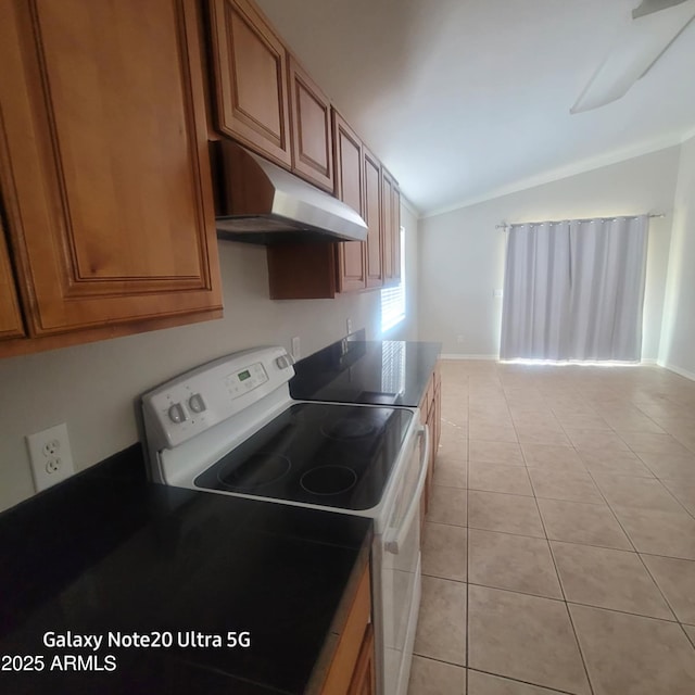 1829 E Adams St, Phoenix, AZ 85034 - kitchen with vaulted ceiling, white range with electric stovetop, brown cabinets, under cabinet range hood, and light tile patterned floors
