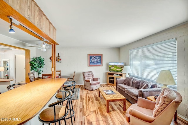 living room featuring a ceiling fan and wood finished floors