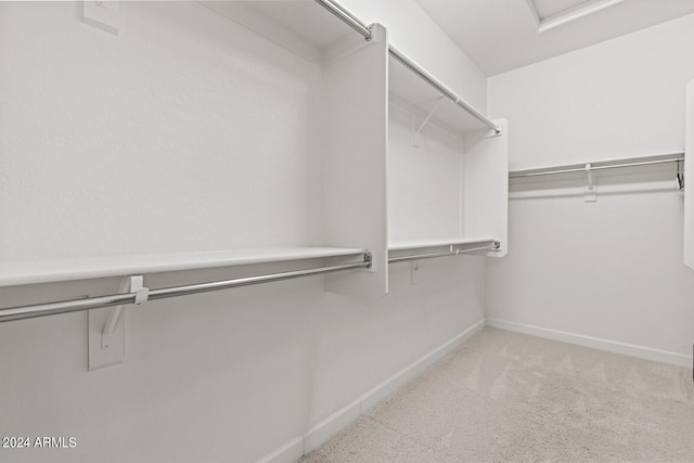 spacious closet with carpet