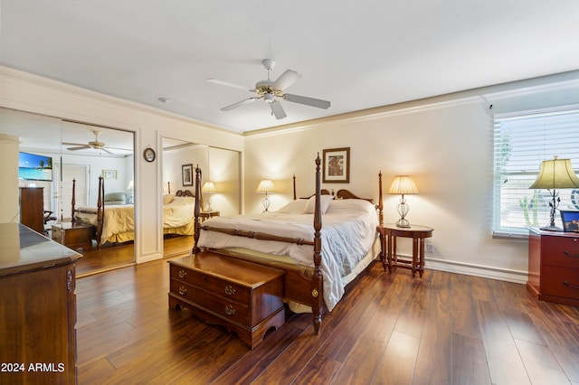 bedroom featuring ceiling fan, two closets, ornamental molding, and dark hardwood / wood-style floors