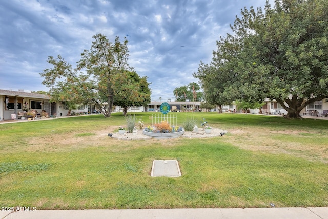 10374 W Deanne Dr, Sun City, AZ 85351 - view of yard