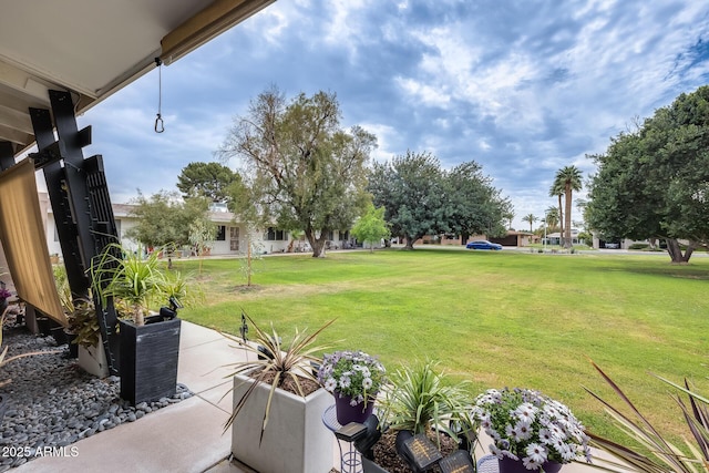 10374 W Deanne Dr, Sun City, AZ 85351 - view of yard