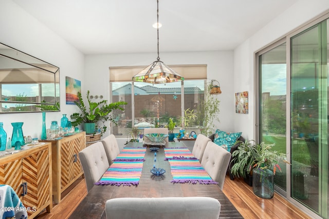 dining room with hardwood / wood-style floors and a healthy amount of sunlight