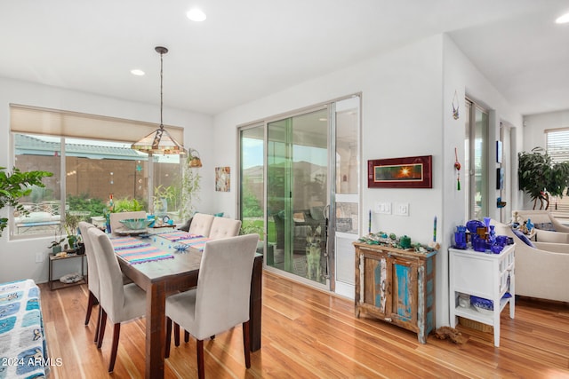 dining area featuring a wealth of natural light and light wood-type flooring