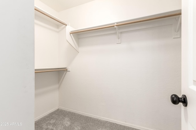 11834 N 147th Ln, Surprise, AZ 85379 - spacious closet with carpet