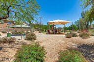 11834 N 147th Ln, Surprise, AZ 85379 - view of community playground