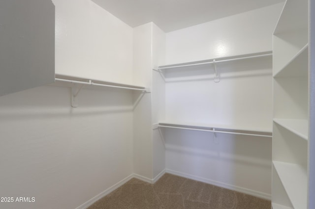 spacious closet with light colored carpet