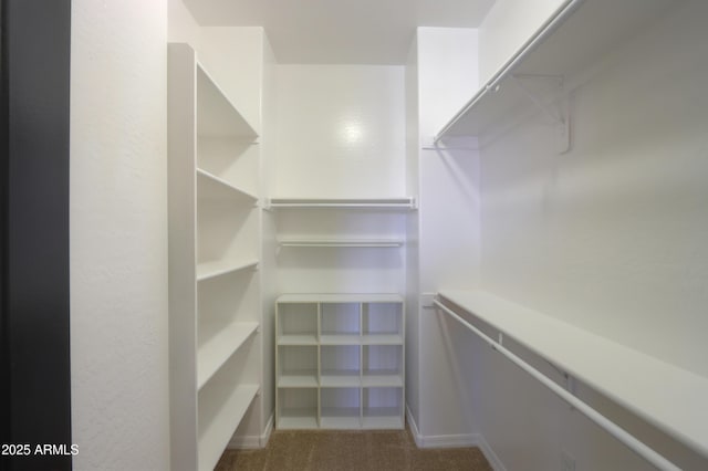 spacious closet featuring carpet flooring