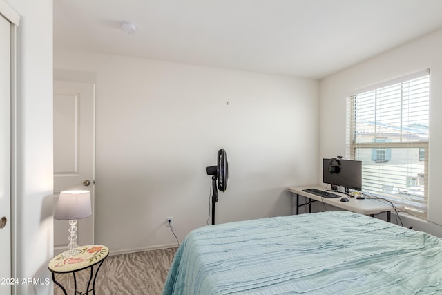 bedroom with carpet floors