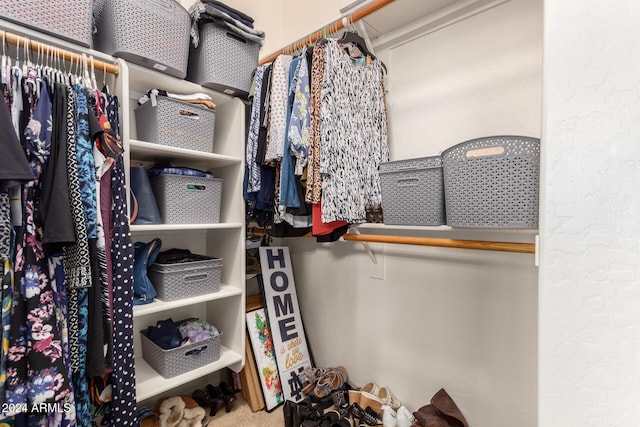 spacious closet featuring carpet floors