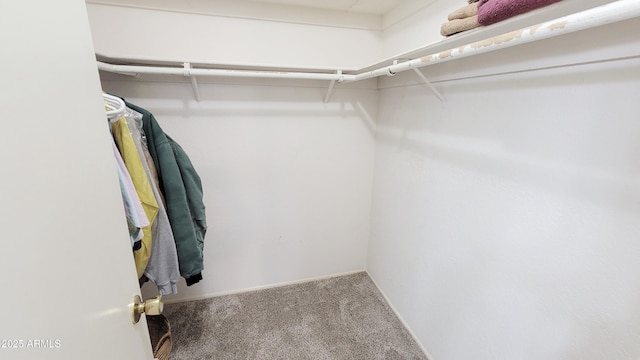 650 N 65th Way, Mesa, AZ 85205 - walk in closet with carpet floors