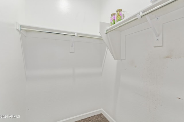 walk in closet with carpet floors