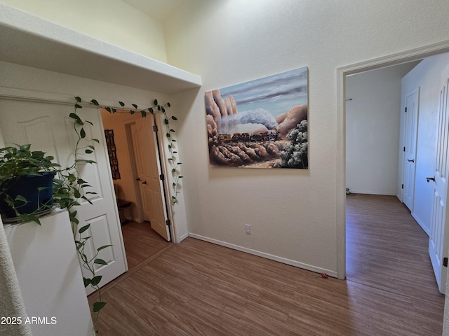 hallway featuring wood-type flooring