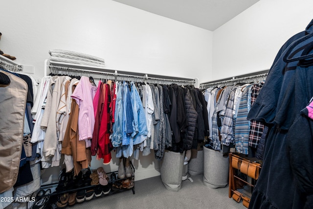 spacious closet featuring carpet floors