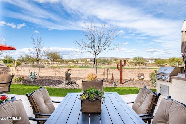 view of patio / terrace with exterior kitchen and area for grilling