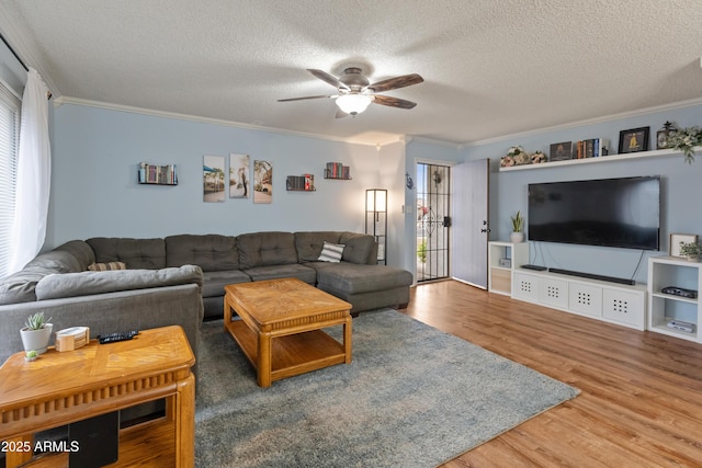 living area featuring crown molding, plenty of natural light, wood finished floors, and ceiling fan